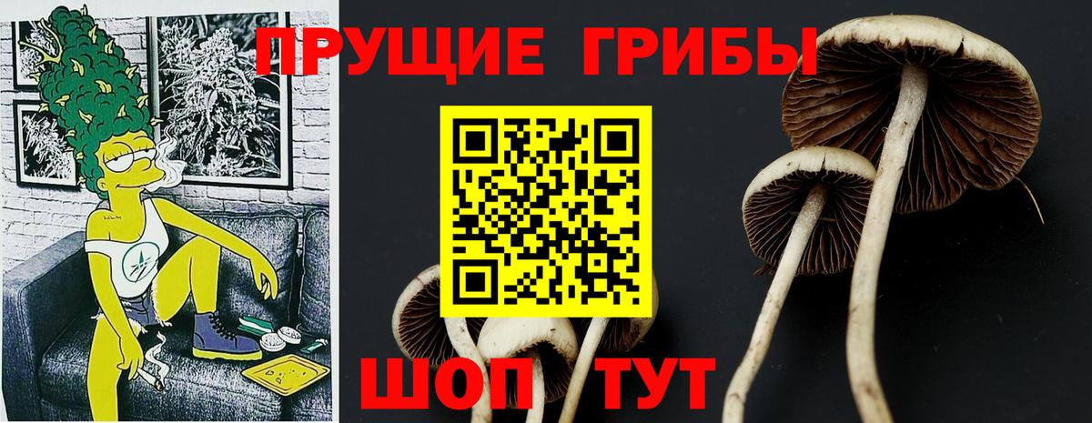 Галлюциногенные грибы Psilocybine cubensis  купить   Дубна  Вход с VPN 