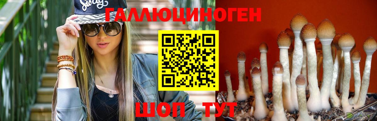 Псилоцибиновые грибы MAGIC MUSHROOMS Дубна